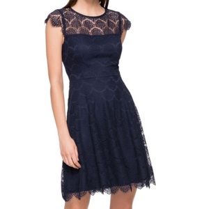 BLACK Kenzie A Line Lace Dress